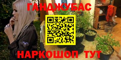 сатива Кулебаки