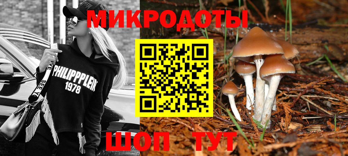 Галлюциногенные грибы мухоморы Десногорск