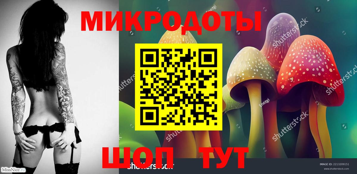 Десногорск  Галлюциногенные грибы Psilocybe  Вход с VPN 